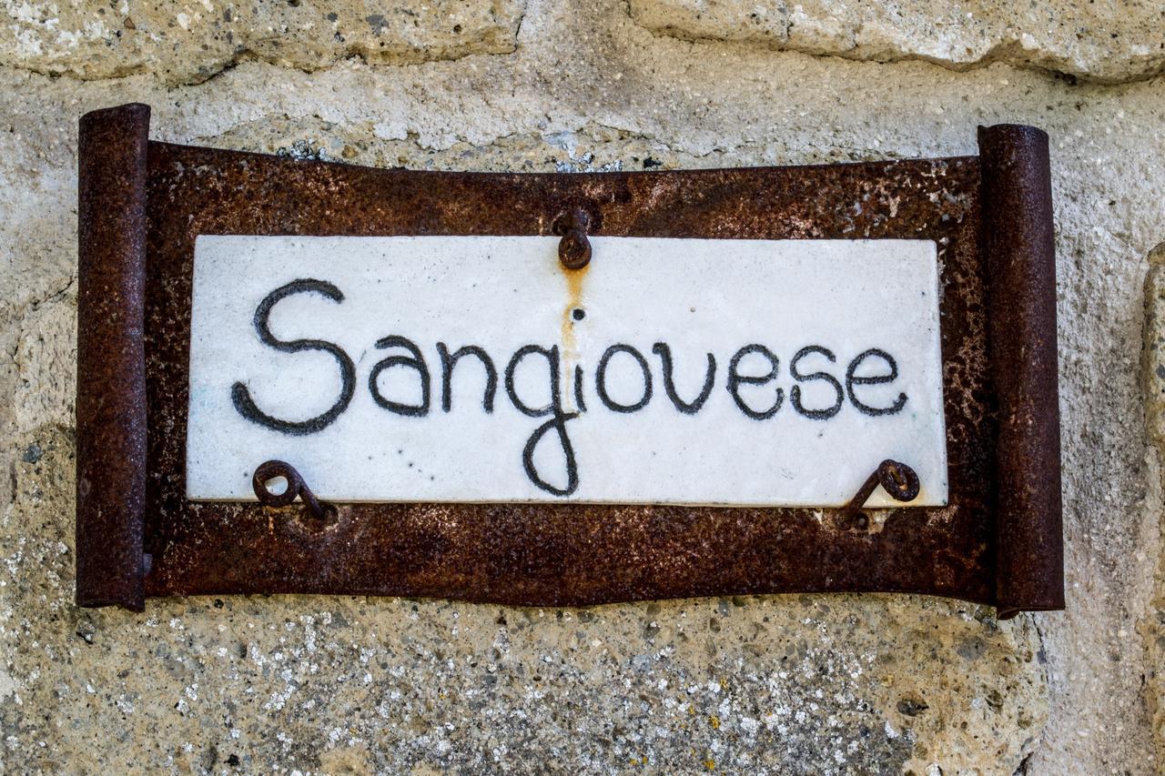 Agriturismo Poggio Delle Conche ピティリアーノ エクステリア 写真